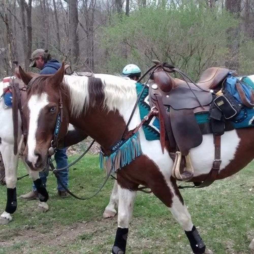 Meet your Posher, April